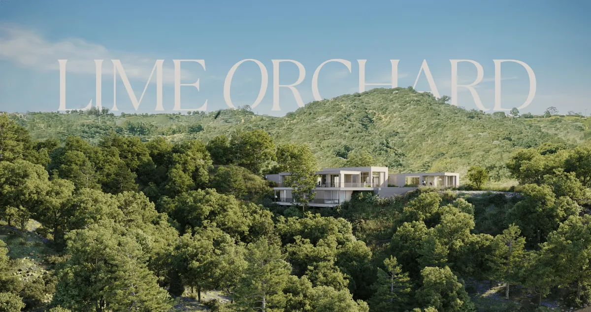 Lime Orchard brand and website